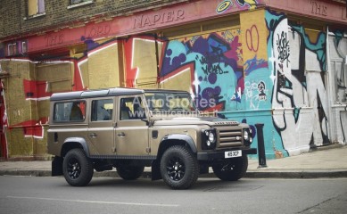 Defender L. E.jpg